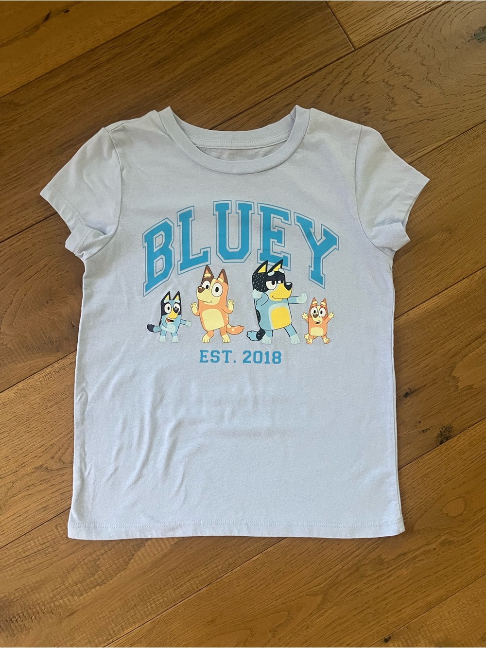 Bluey Light Blue Short Sleeve Graphic Tee Girls Medium